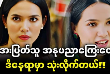 media allmoviestore com amqrkrgb