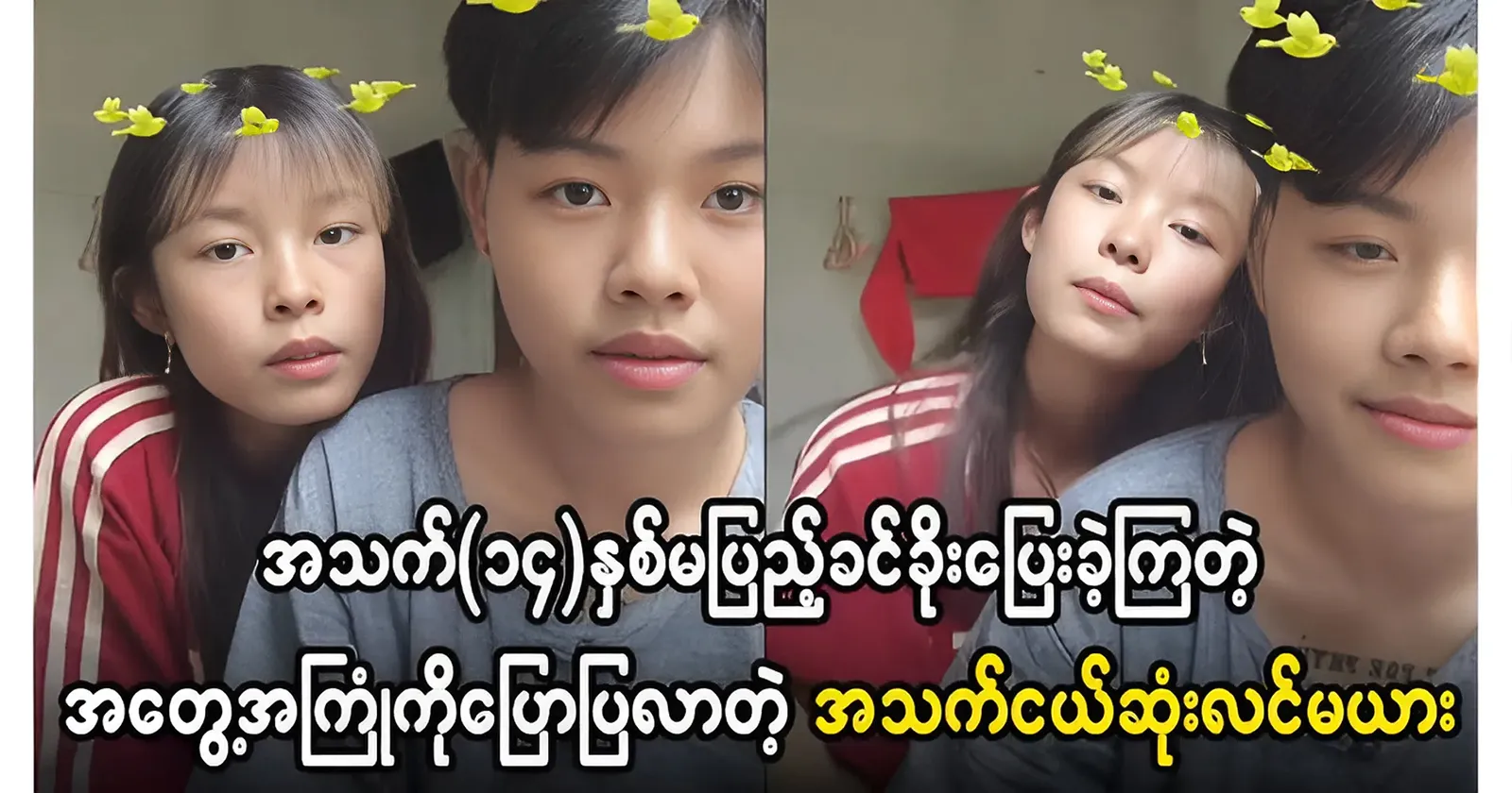 media allmoviestore com eclkqv2p