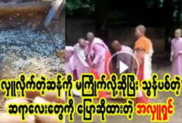 media allmoviestore com up1oyrrw