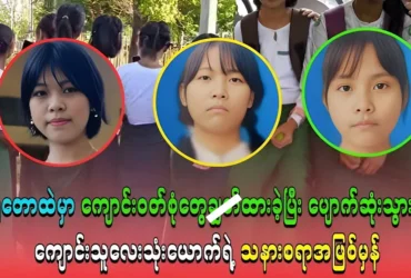 media allmoviestore com kryi0qzq