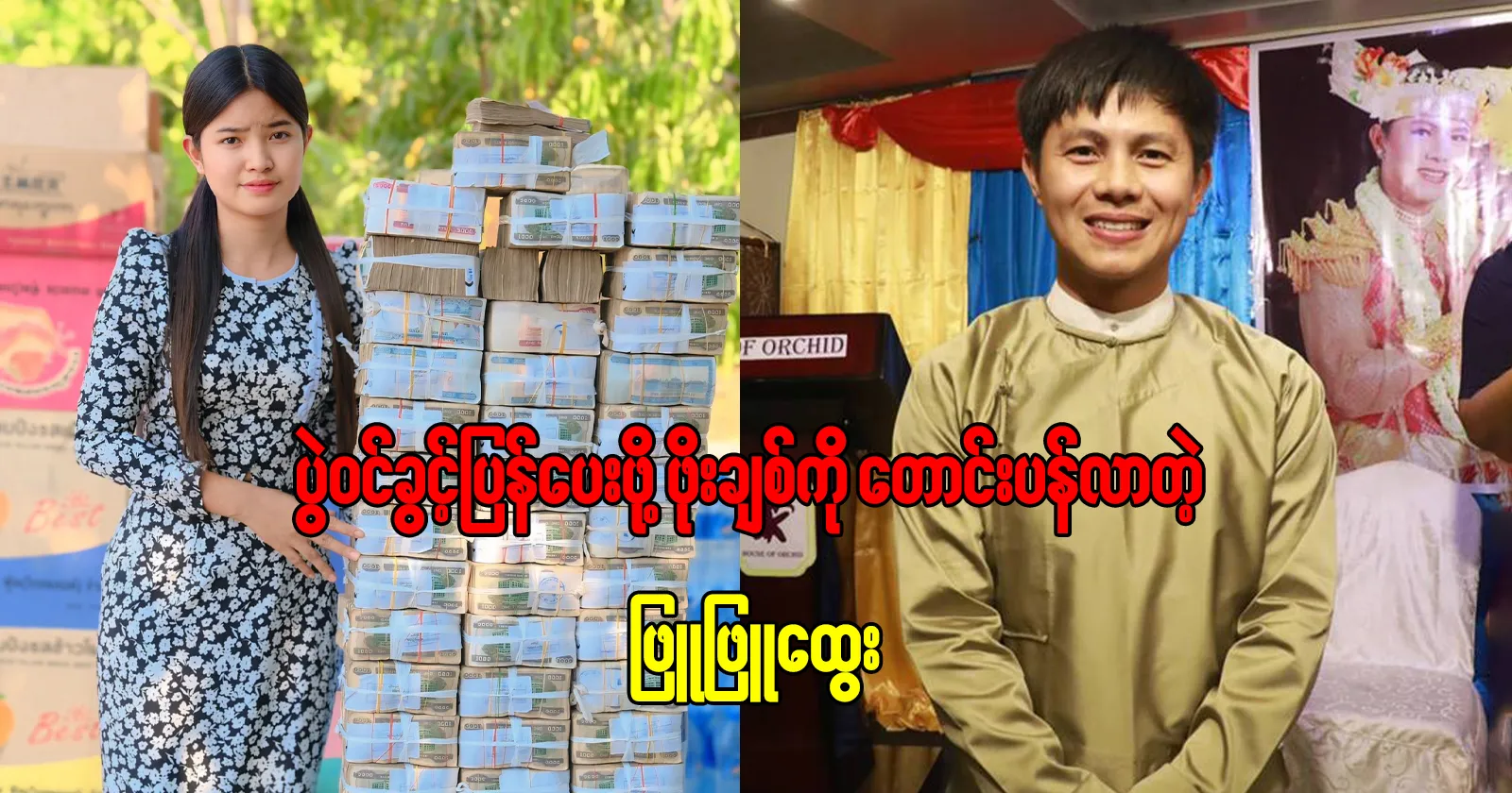 media allmoviestore com n9buzgaf