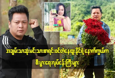 media allmoviestore com pfpo0xt8