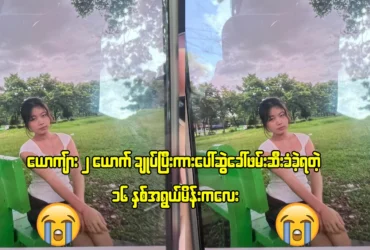 media allmoviestore com vkfhicws