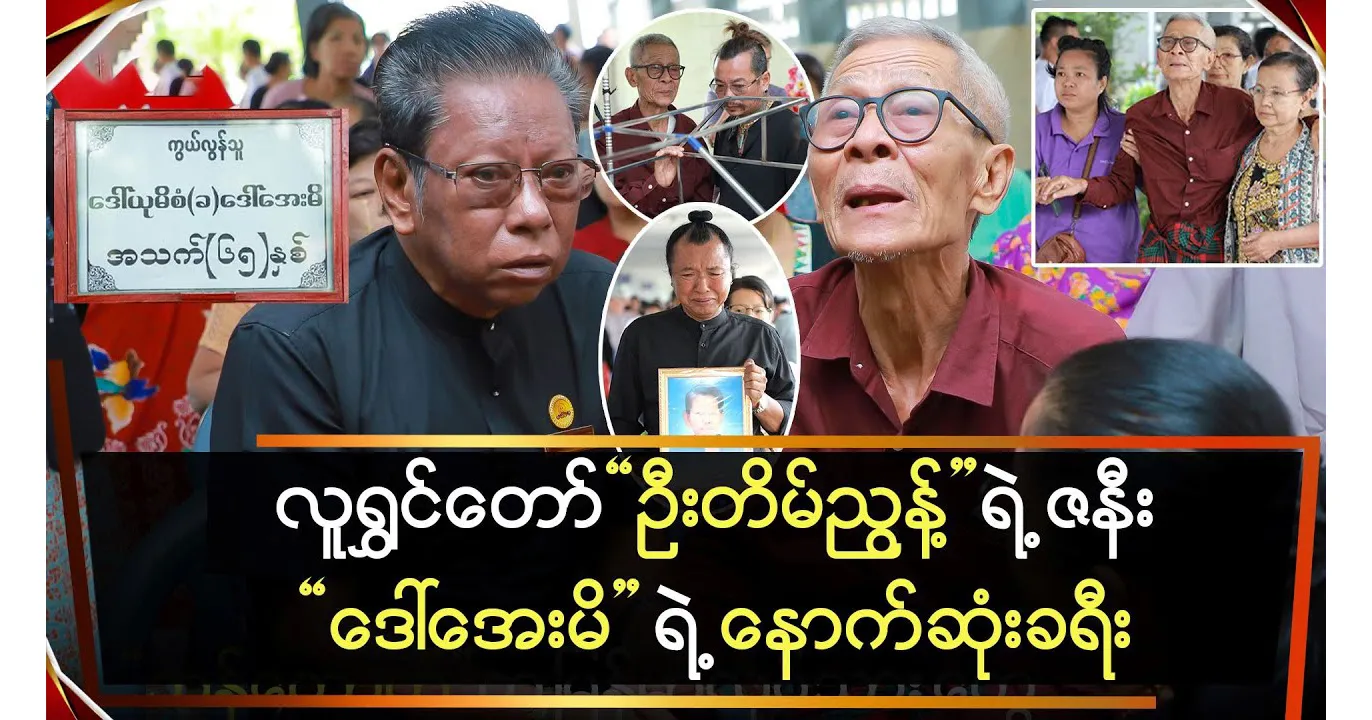 media allmoviestore com gptybf10