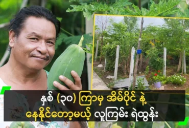 media allmoviestore com hqxmx6i5