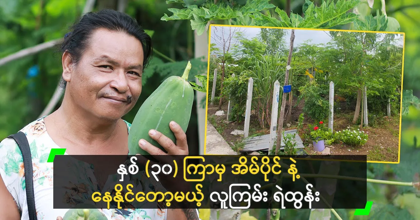 media allmoviestore com hqxmx6i5