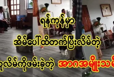 media allmoviestore com cp3xfjpl