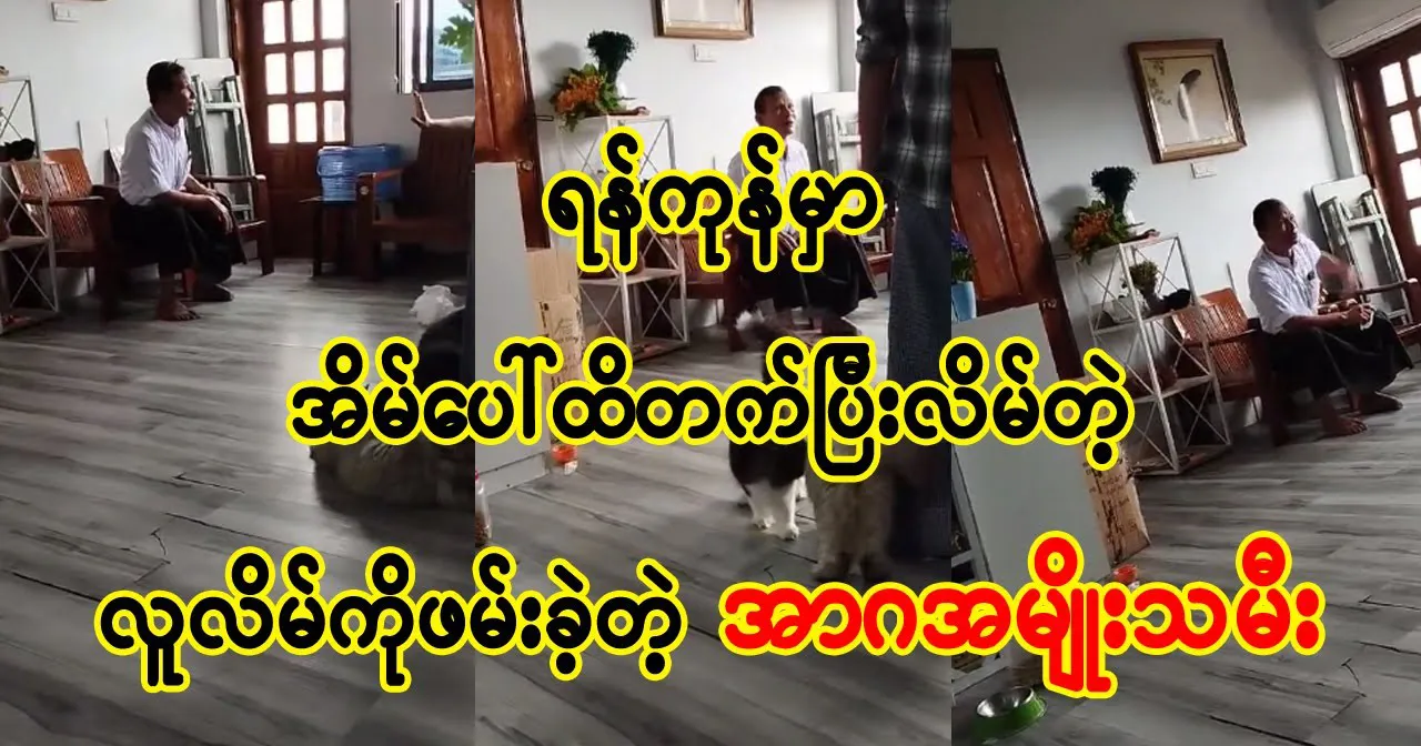 media allmoviestore com cp3xfjpl