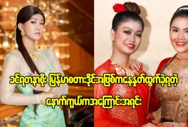 media allmoviestore com w1gltlbu